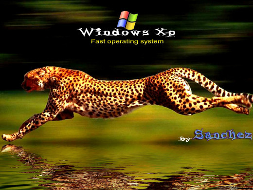 380816 (a): :1024x768